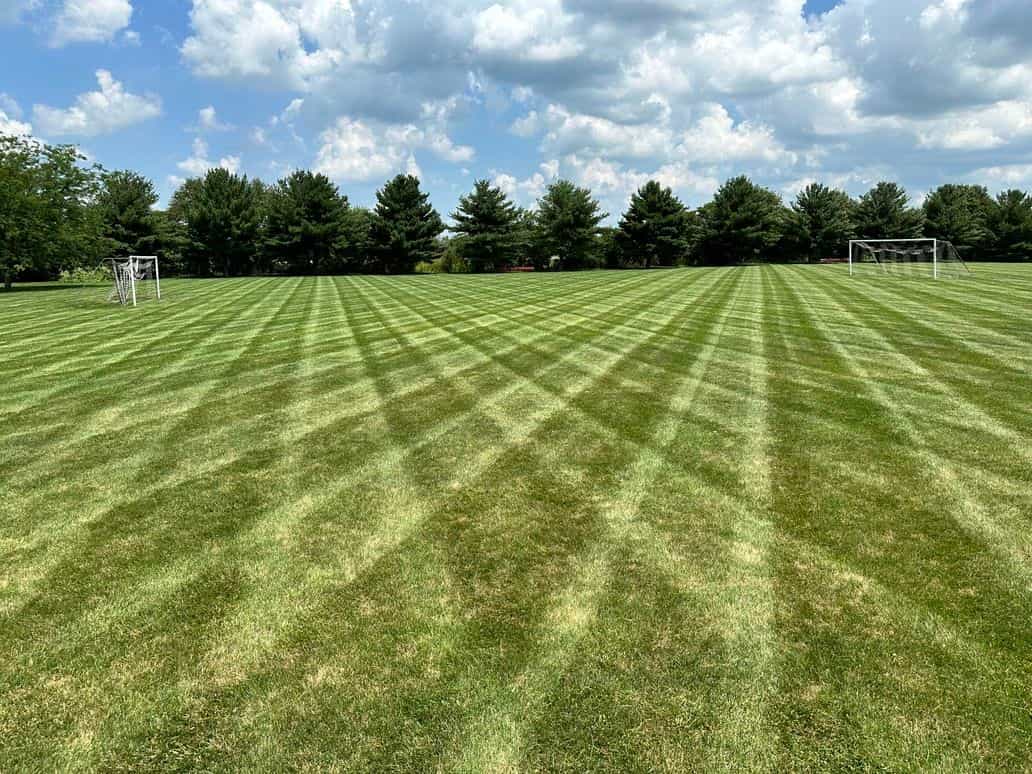 Hero image for Rein Landscaping