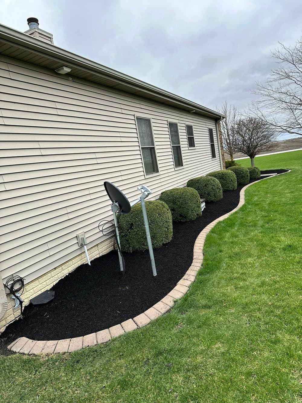 Landscaped yard with shrubs, black mulch, and a satellite dish beside a beige house.